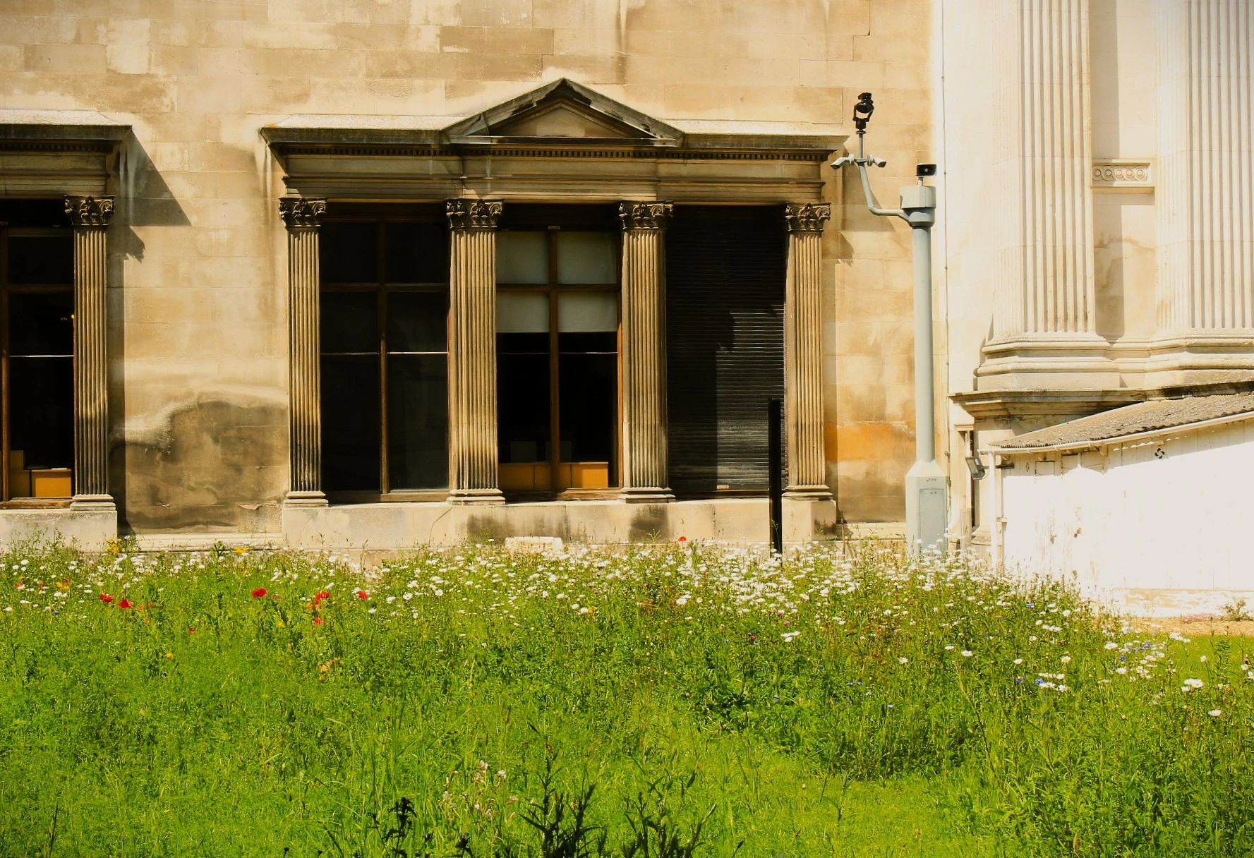 Cambridge 4